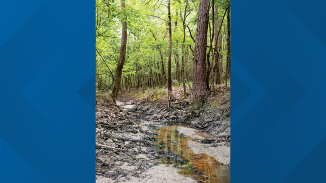 6 new Texas state parks