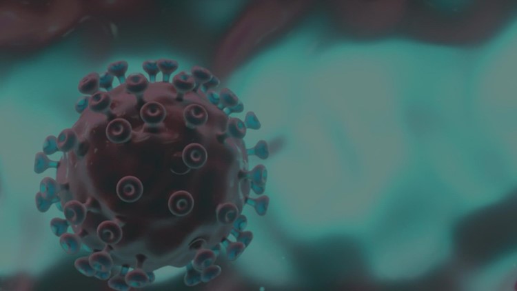 1 out of 5 people testing positive for COVID in Houston, experts say