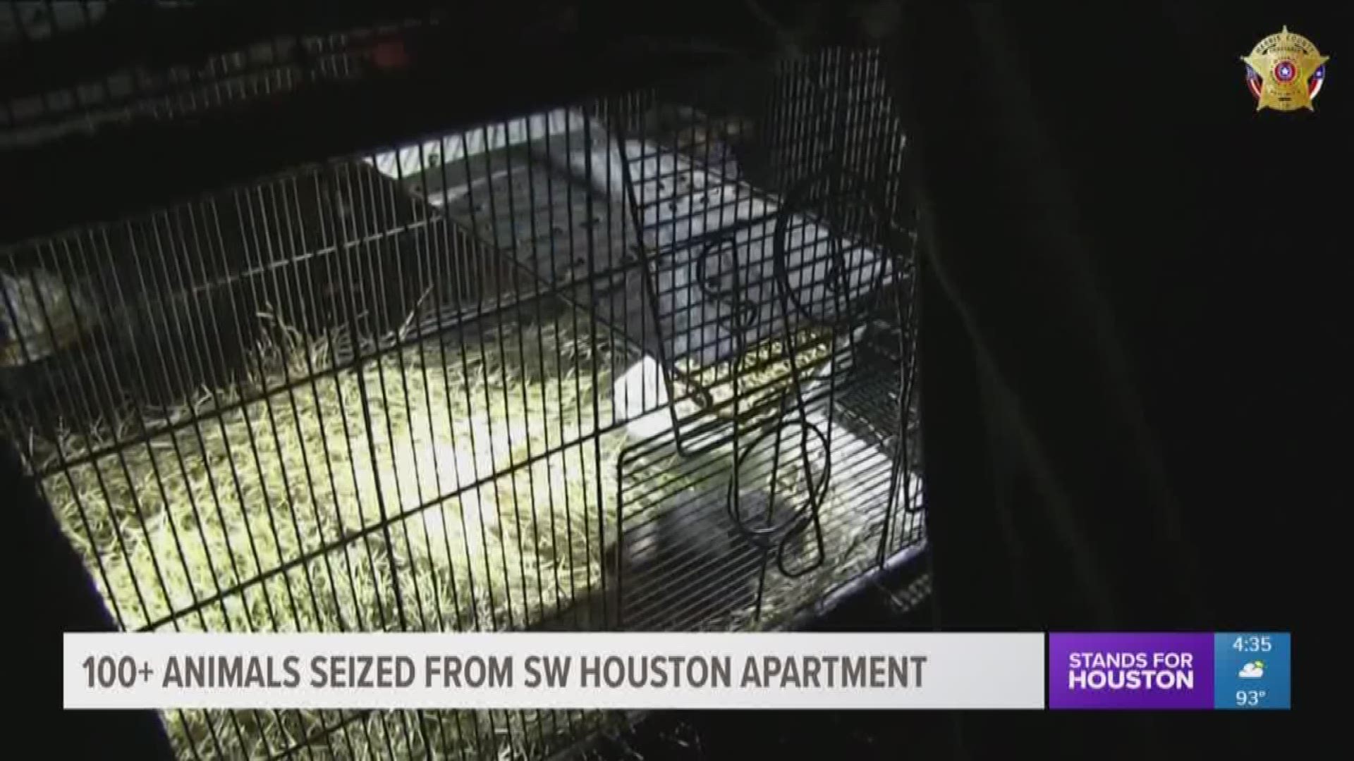 More than 100 animals seized from SW Houston apartment | khou.com