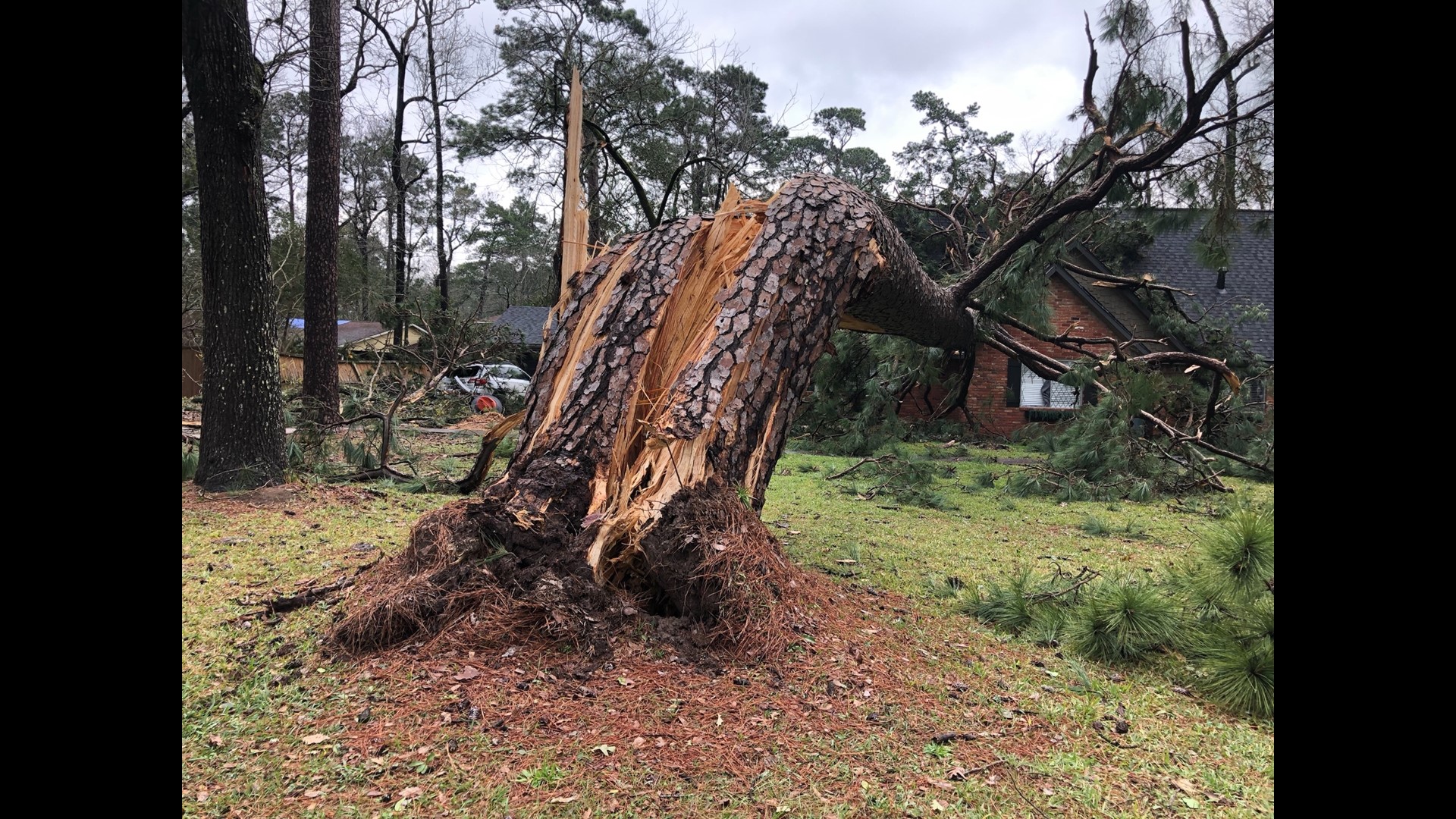 Houston weather Storm damage photos and videos