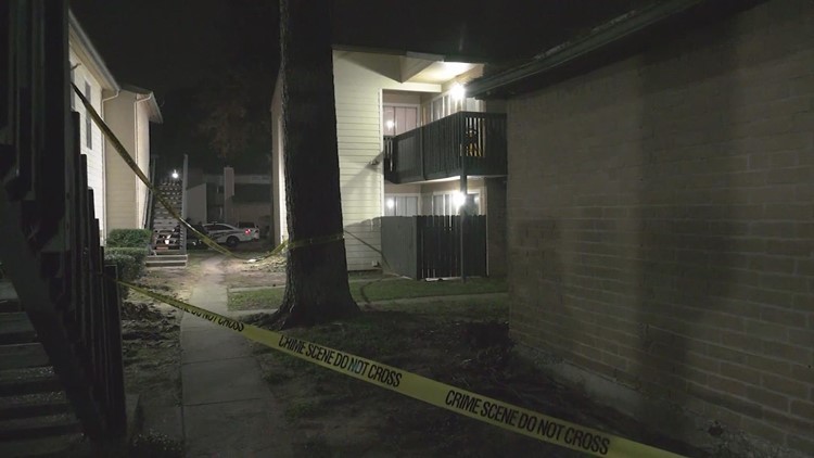 Couple dead in suspected murder-suicide in N. Harris County, deputies say