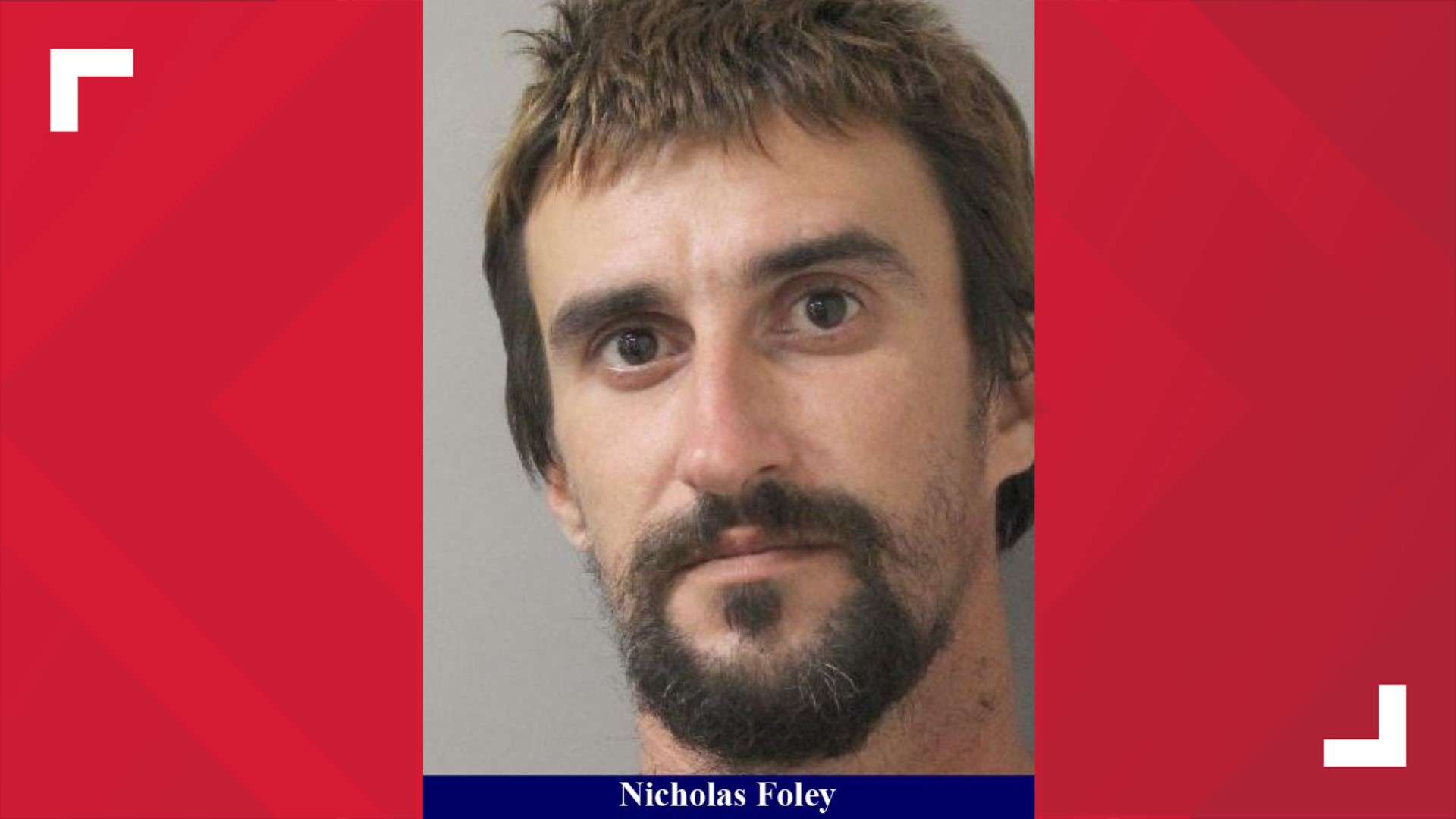 Man punched woman, 68, in the face while dogs were attacking her