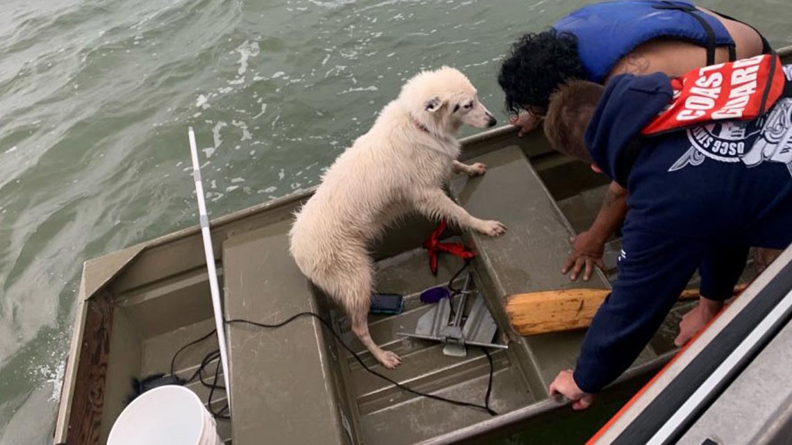 Nelayan yang terlambat, anjing diselamatkan oleh Penjaga Pantai di dekat Texas City