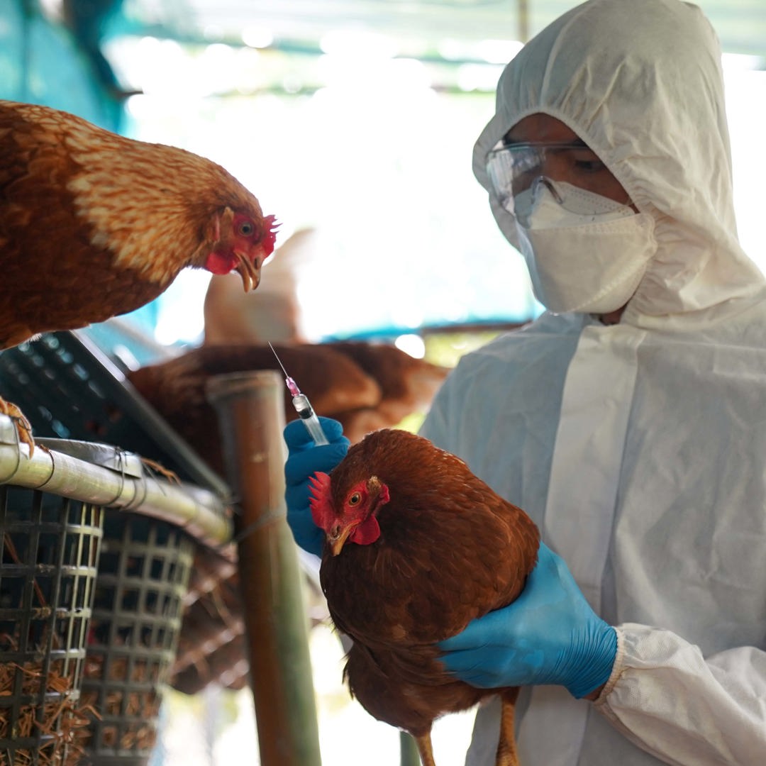 Texas health alert | TPWD warns of highly contagious threat to animals ...