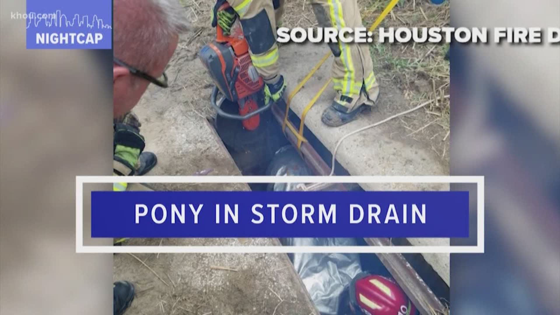 - A pony was rescued Wednesday afternoon after it fell into a storm drain without a cover. A Houston police officer out on patrol came across the pony. 
- The body of an 11-year-old boy was recovered, days after the boy and another teen went missing while