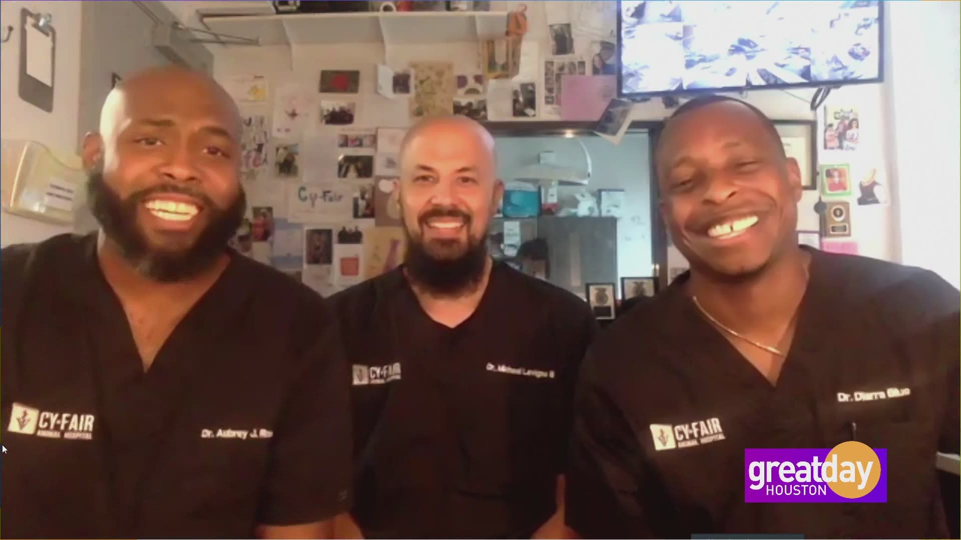 The Vet Life follows veterinarians Dr. Diarra Blue, Dr. Aubrey Ross and Dr. Michael Lavigne