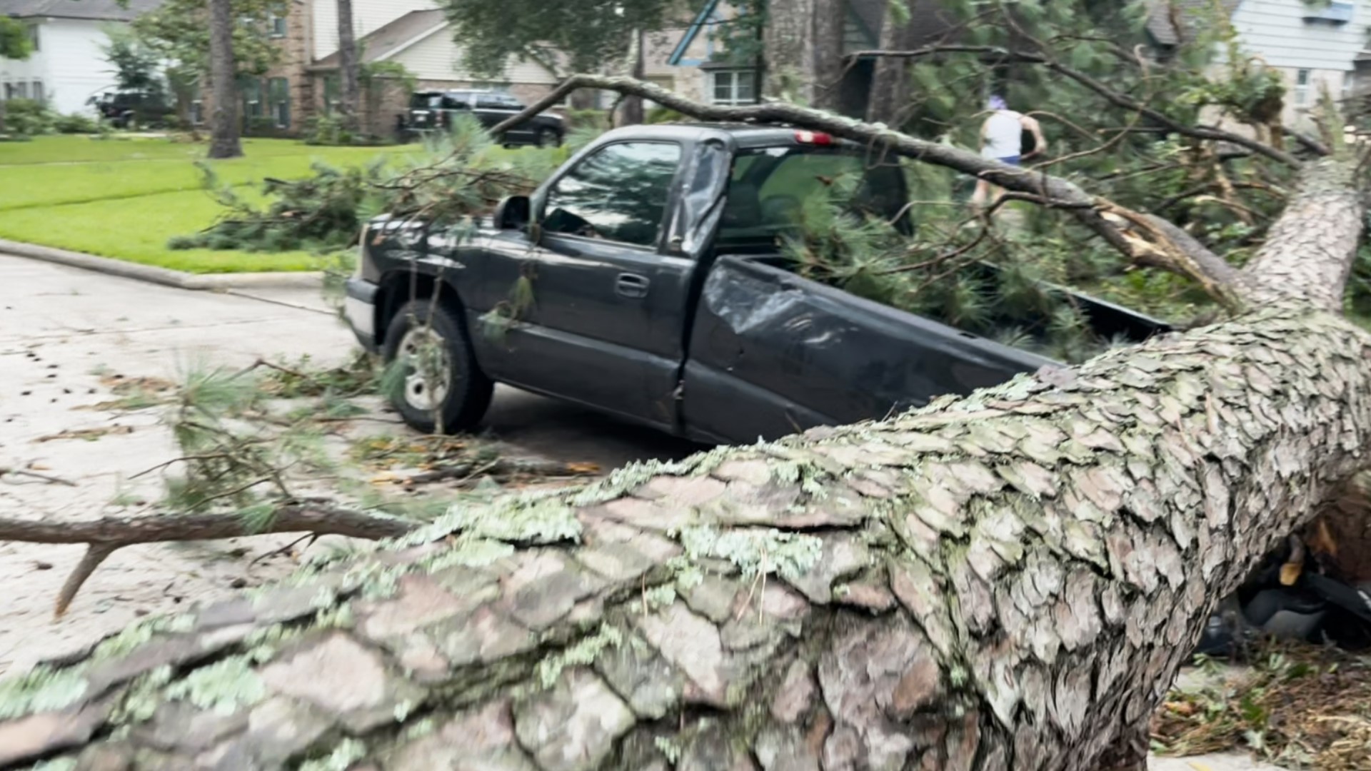 KHOU 11 Photojournalist Scott McKenney shared video of a large tree that had been uprooted near Spring and crushed a truck.