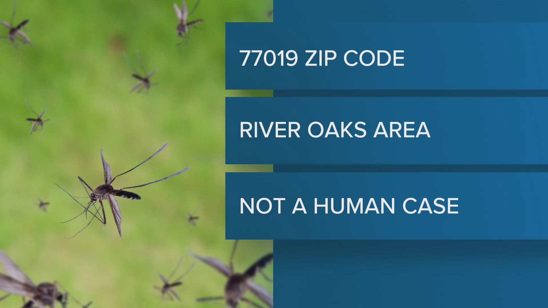 Harris County Public Health’s Mosquito and Vector Control Division collected the sample from a mosquito-trapping site inside the 610 Loop in area code 77019