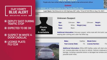 Blue alert harris county texas