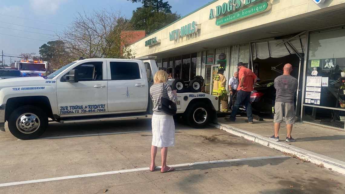 Vehicle crash reported at Spring pet salon - Vimarsana News