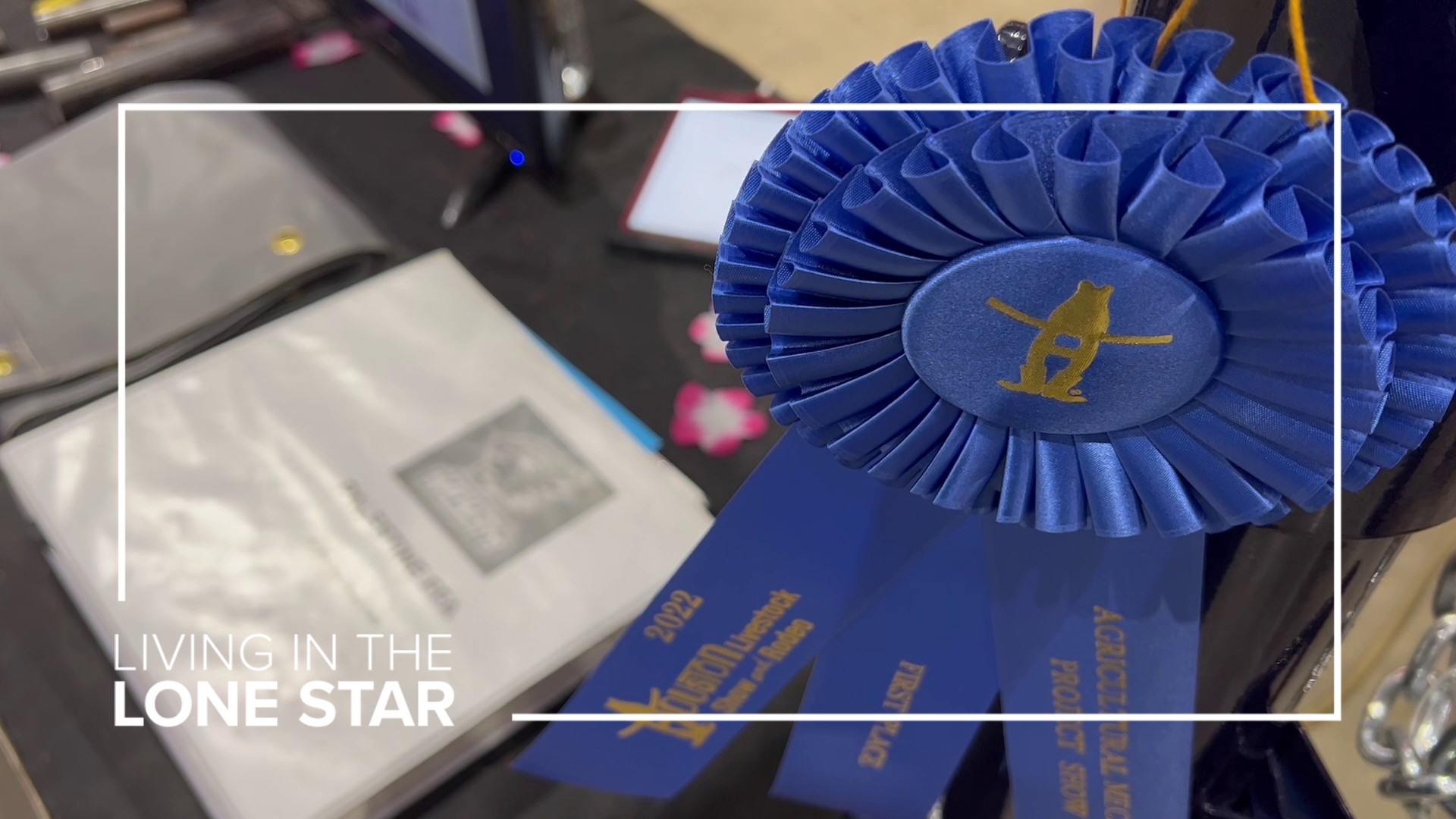 From next-level chicken coops and lighted horse trailers to self-dumping hay trailers and plasma tables, the contest features projects students made from scratch.