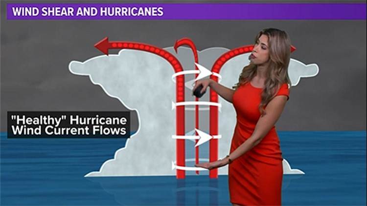 El Niño plays small role in hurricane outlook | Meteorologist Kim Castro explains