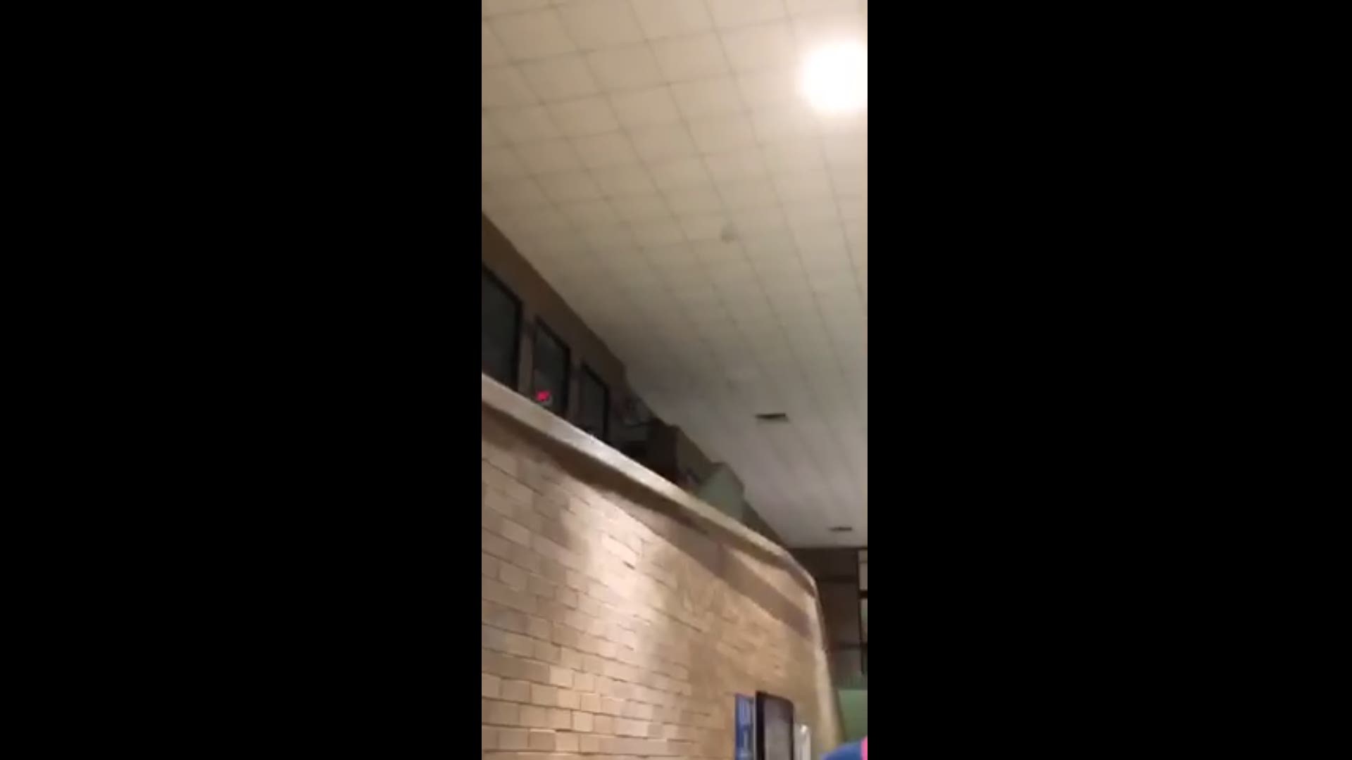 A bat was found in the west wing hallway at Langham Creek High School Monday morning. Officials say students were removed from the area.