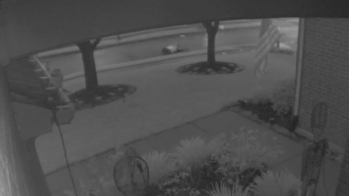 Dog attack caught on camera in Cinco Ranch - Vimarsana News
