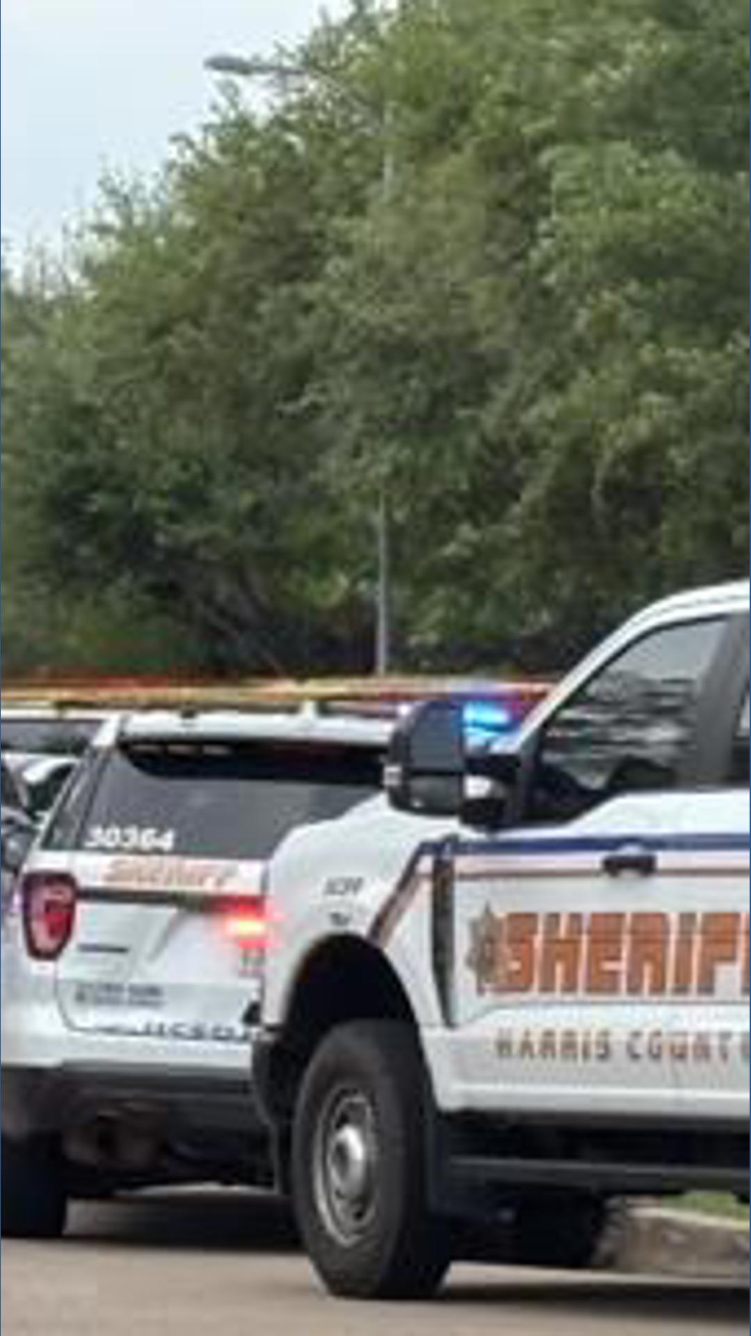 Woman shot and killed in front of her kids during roadside ...