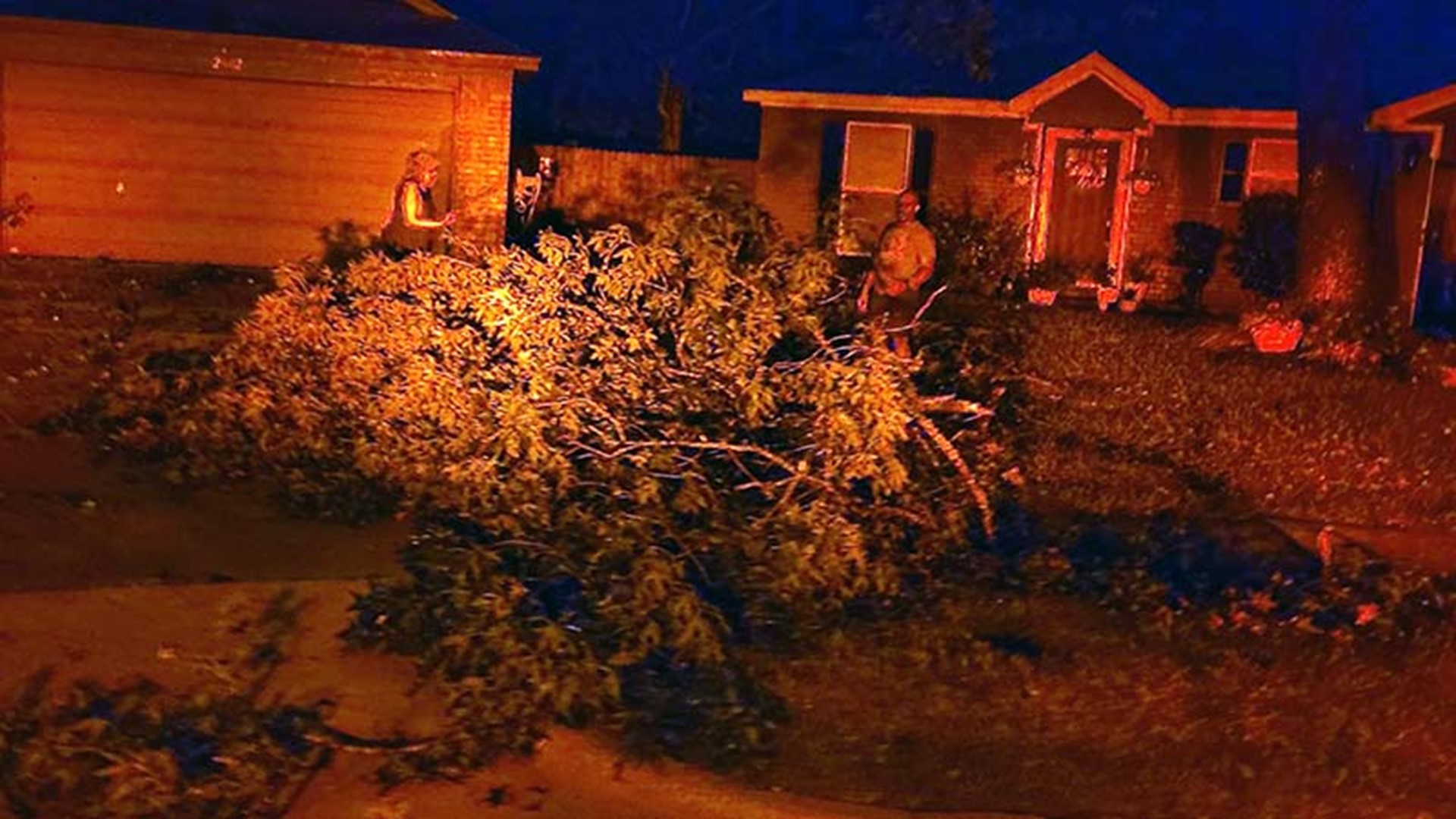 Downed Trees Trap Spring Apartment Residents Fall On Car Fences