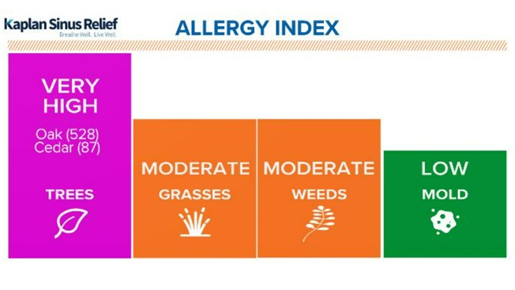 Allergy index for Tuesday, March 21: Tree pollen remains at very high levels