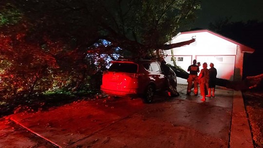 Downed Trees Trap Spring Apartment Residents Fall On Car Fences