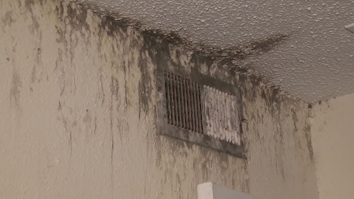 Houston, Texas apartment residents upset with living conditions - Vimarsana News