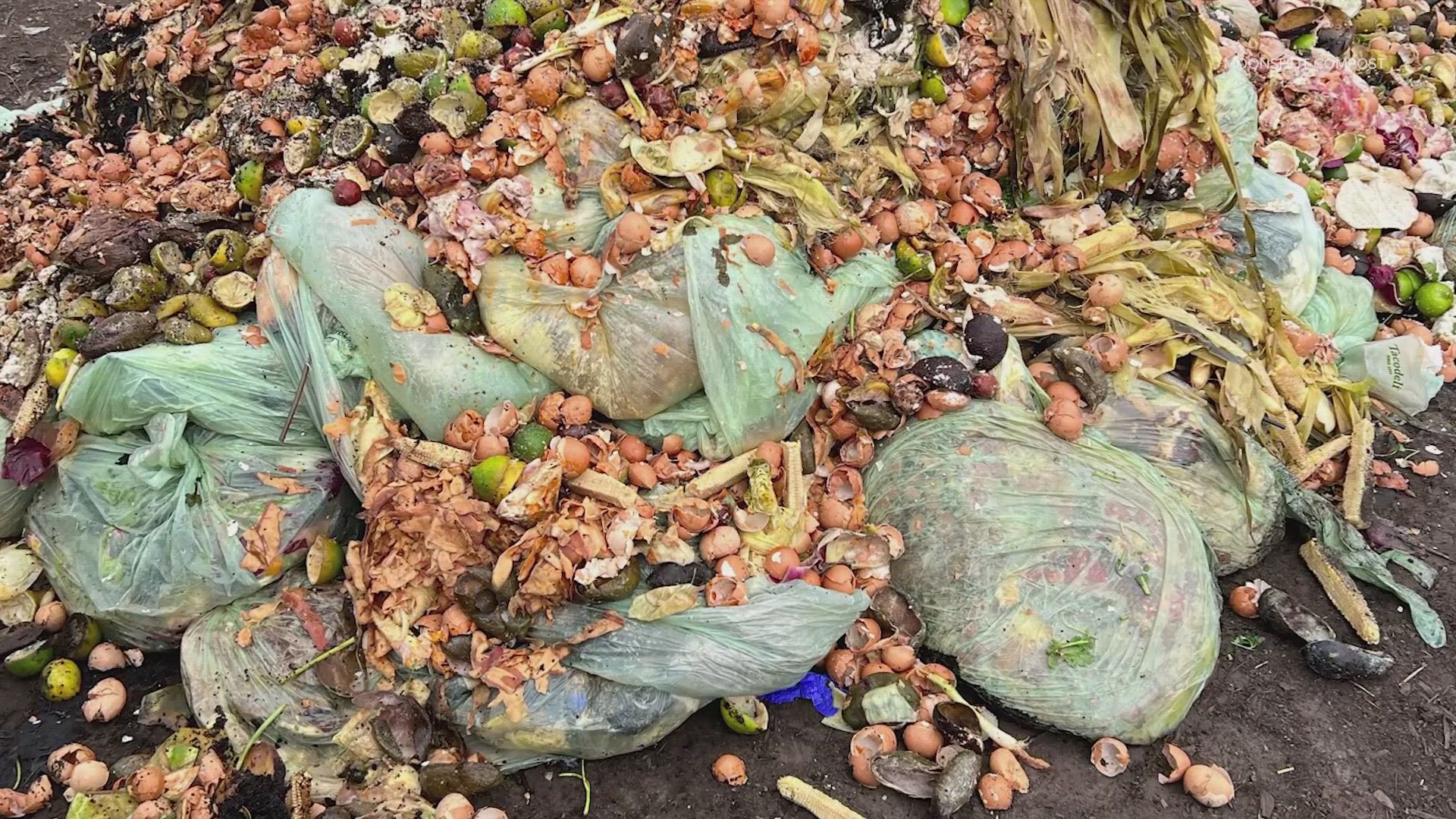 The company collects millions of pounds of food waste around Texas a year.