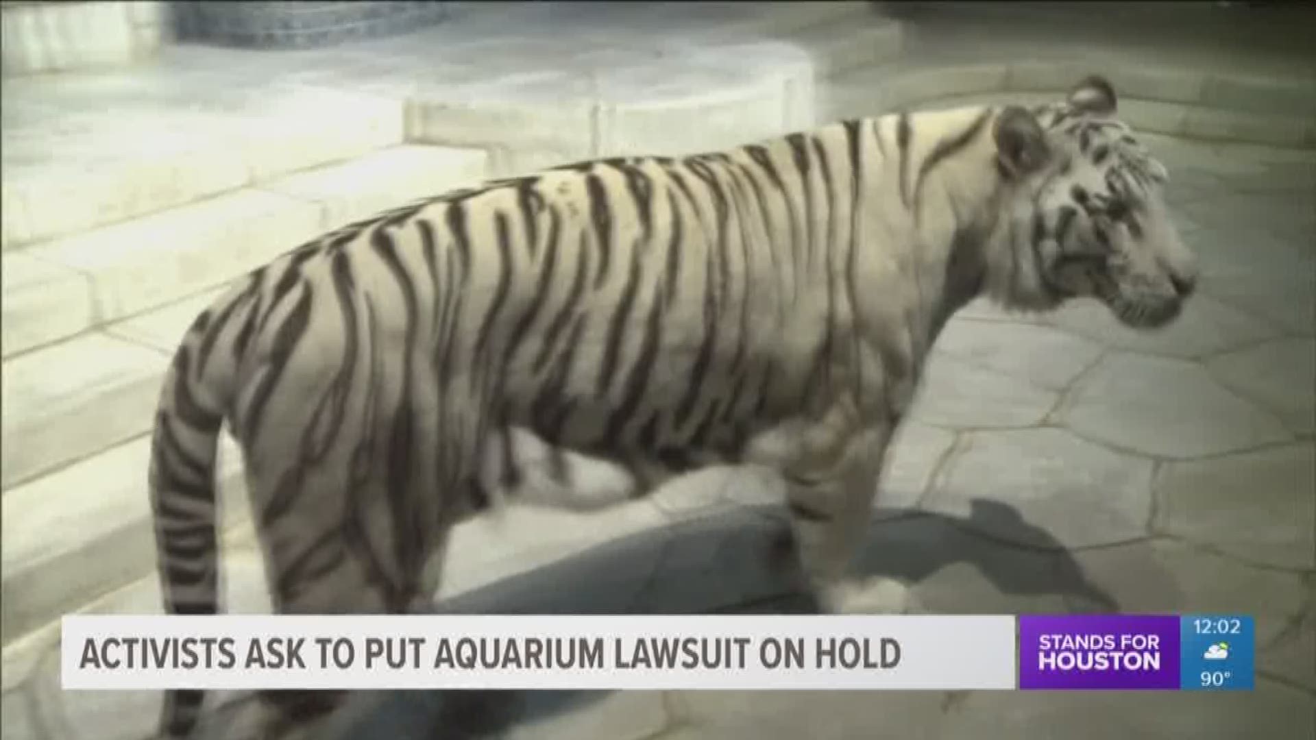 Animal Legal Defense Fund says they have decided to put their lawsuit against the Downtown Aquarium on hold for 120 days. They had sued the aquarium over its white tigers and their enclosure.
