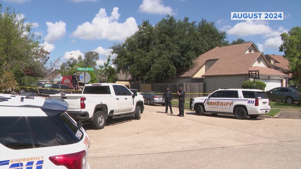 Houston woman charged nearly a year after her dead newborn was found in ...