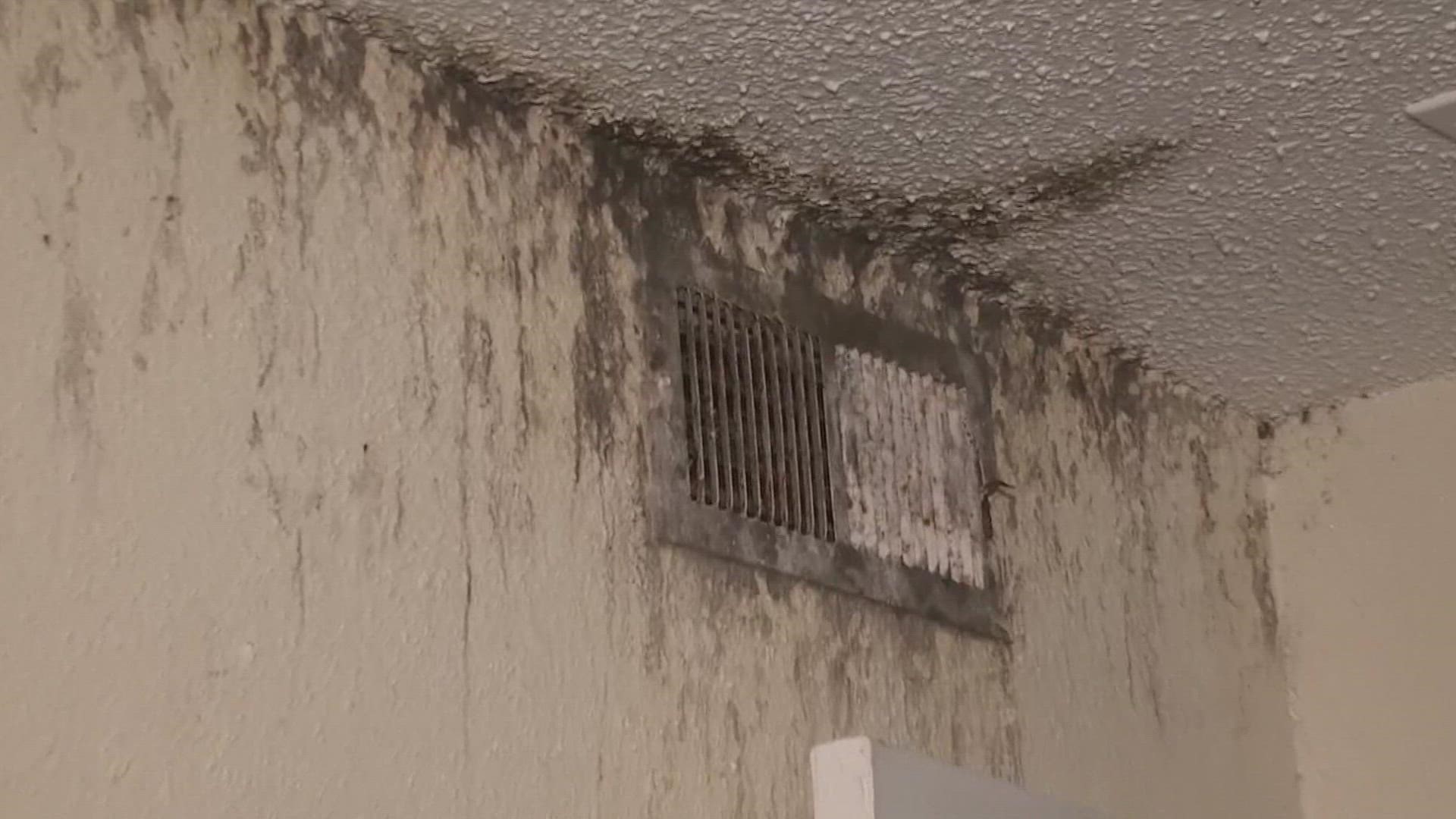 It was a full circle moment for people living in deplorable conditions at a northeast Houston apartment complex.