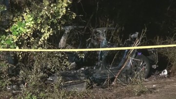 PCT4: Two dead in fiery crash after driverless Tesla crashes into tree