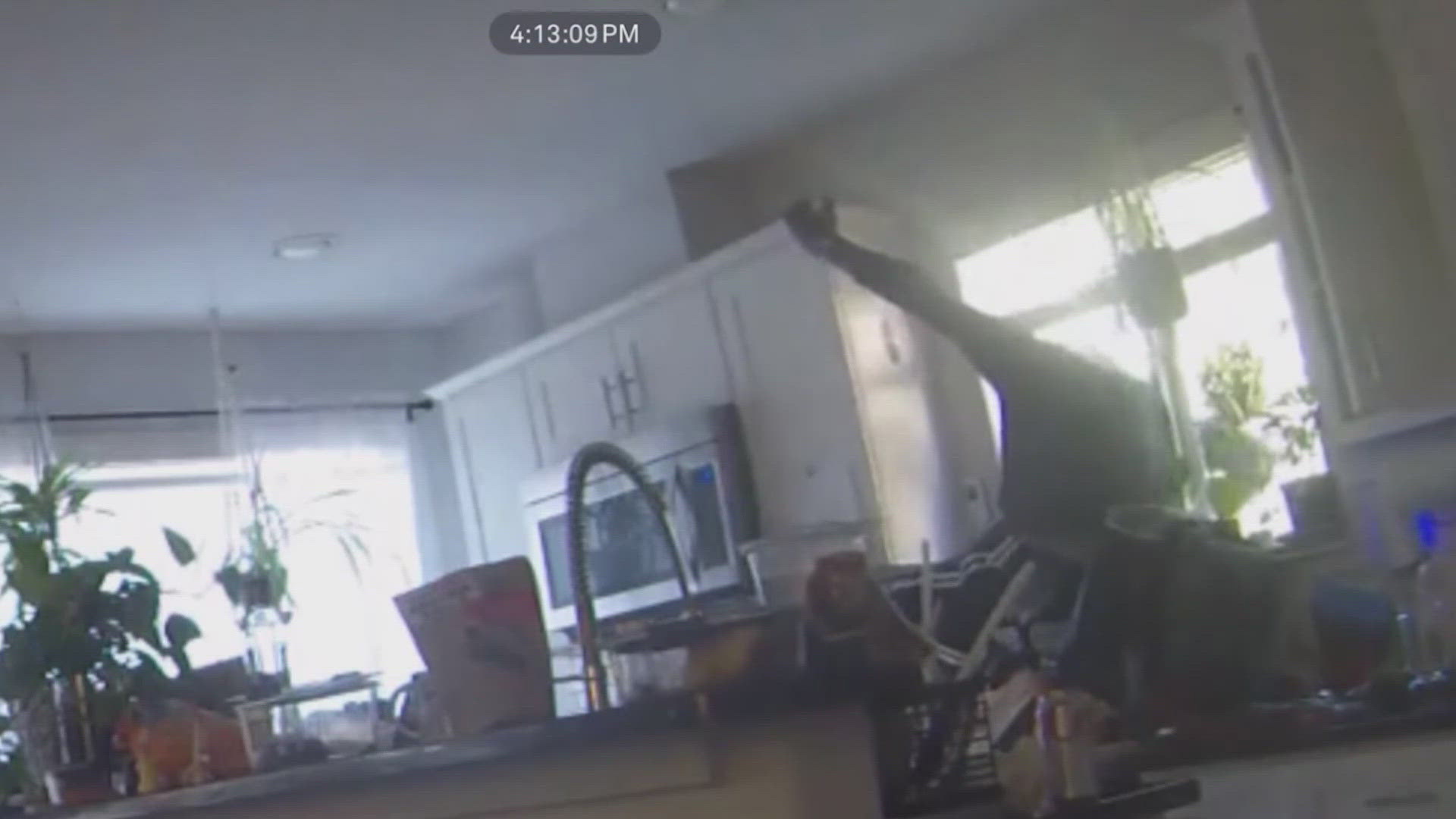 Man dubbed 'Spiderman' burglar arrested after multiple alleged break ...