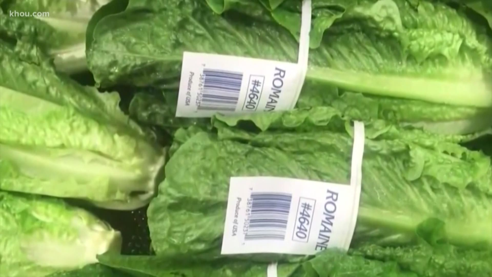 You may have seen reports of people in several states getting sick after eating romaine lettuce. But are these reports true? KHOU 11’s David Gonzalez verifies.