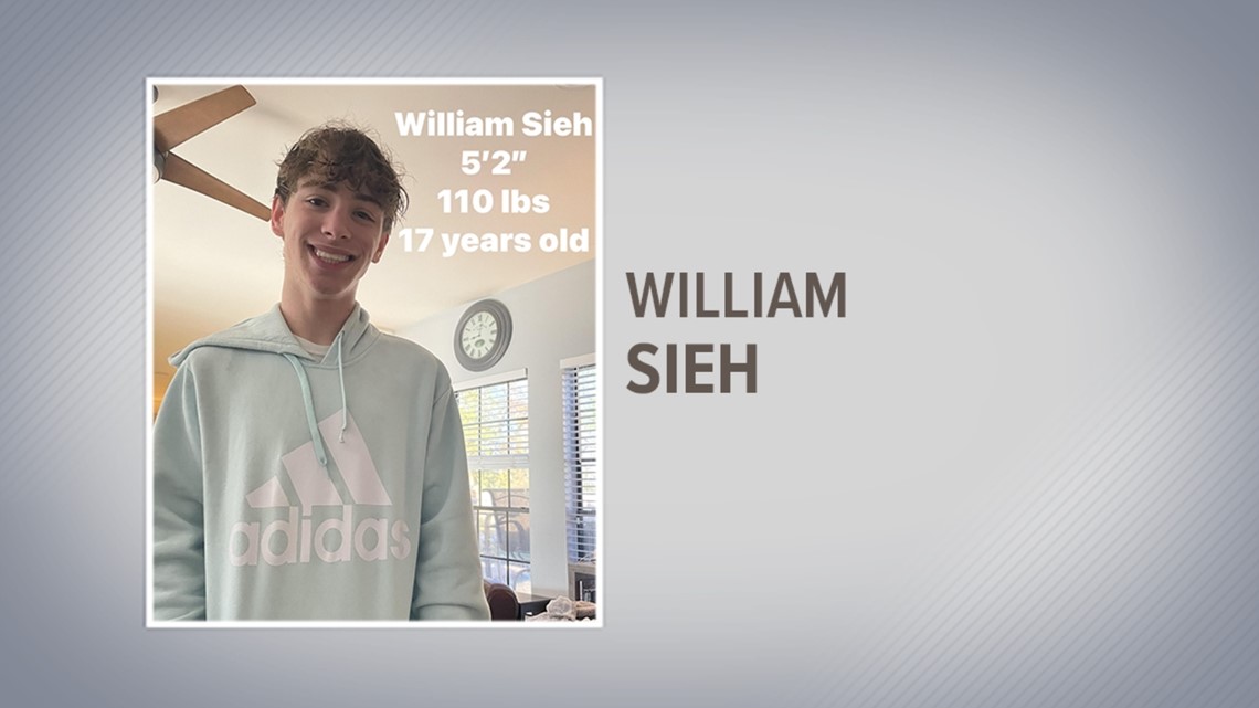 Missing Pearland, Texas teen - Vimarsana News