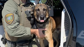 HPD: Suspect stabs police dog with butcher's knife during chase in west Houston