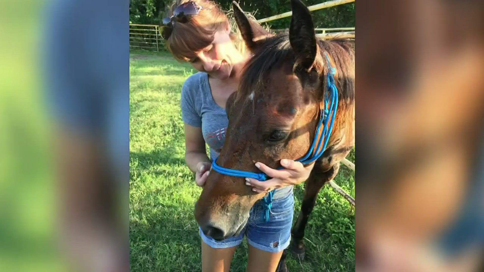 A horse reported stolen from a La Marque rescue facility earlier this week was found Thursday on a property in Hitchcock.