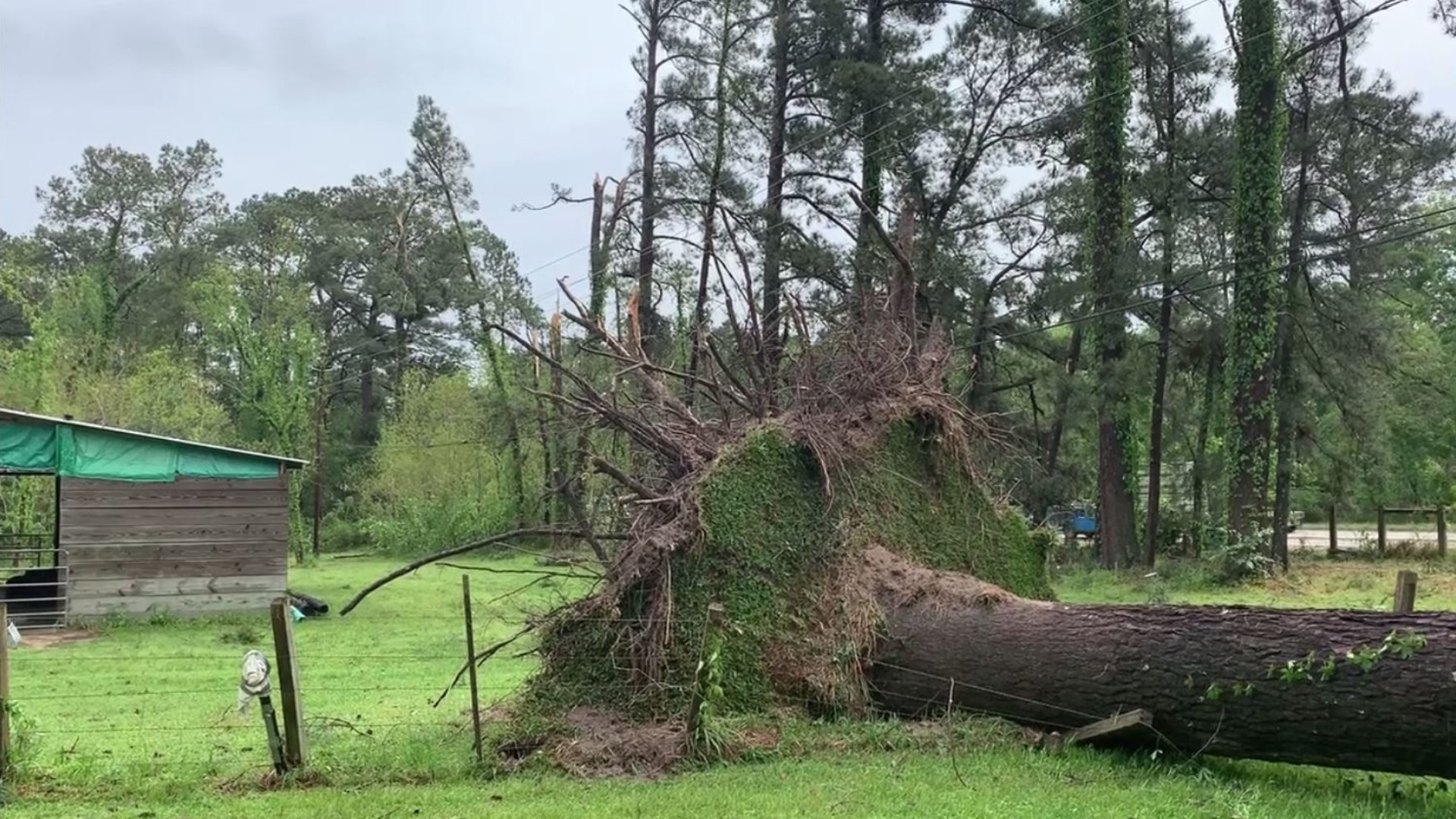 NWS confirms tornado touched down in Montgomery County Sunday | khou.com