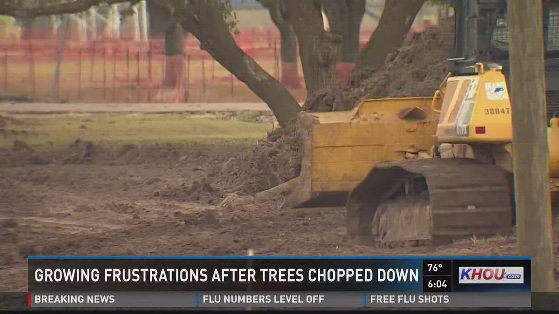 Friday at Independence Park in Pearland,  there were bulldozers and dump trucks where old oak trees once stood. Nearly 30 trees were removed over the last week, some between 75 and 100 years old. It's part of a project to improve drainage at Independence