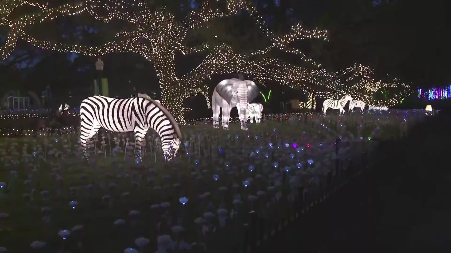 Stroll through the Houston Zoo to see their lovely holiday lights from Nov. 18 to Jan. 8. It's the perfect setting to enjoy the sights and sounds of the season.