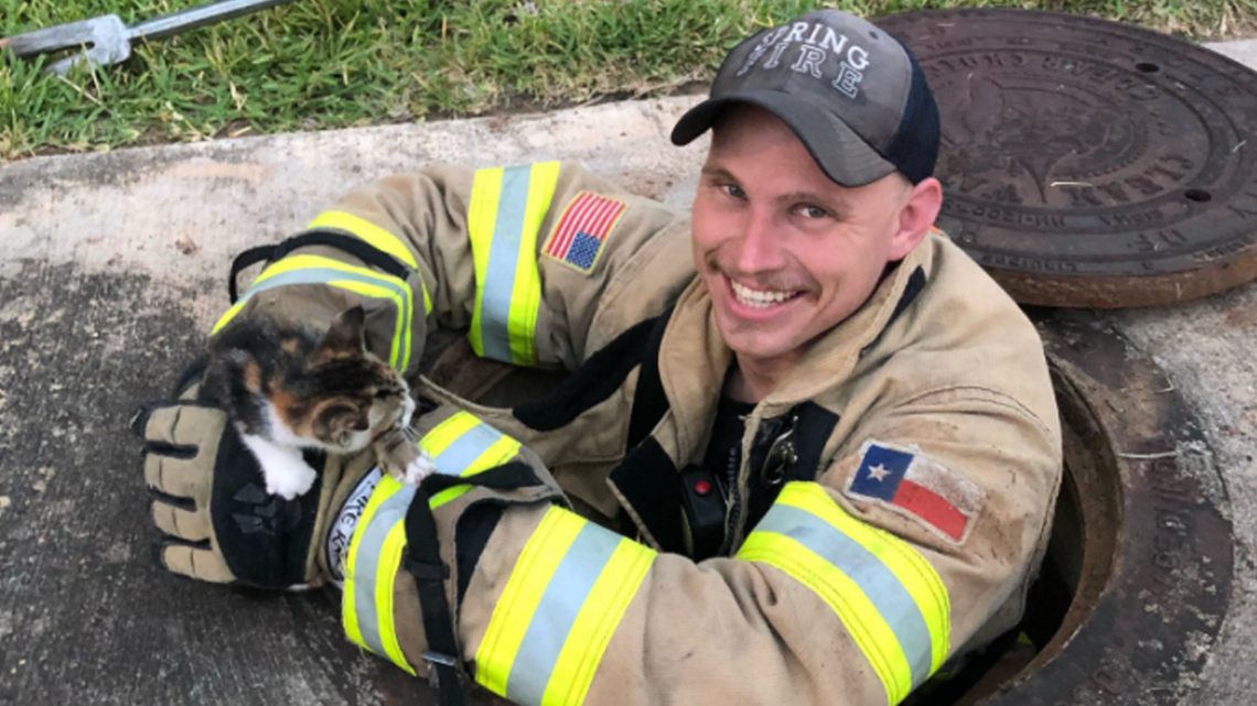 Petugas pemadam kebakaran musim semi menyelamatkan anak kucing yang terjebak di selokan