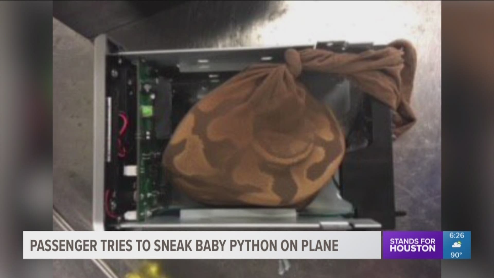 A passenger at Miami international Airport was stopped for trying to sneak a snake on a plane.