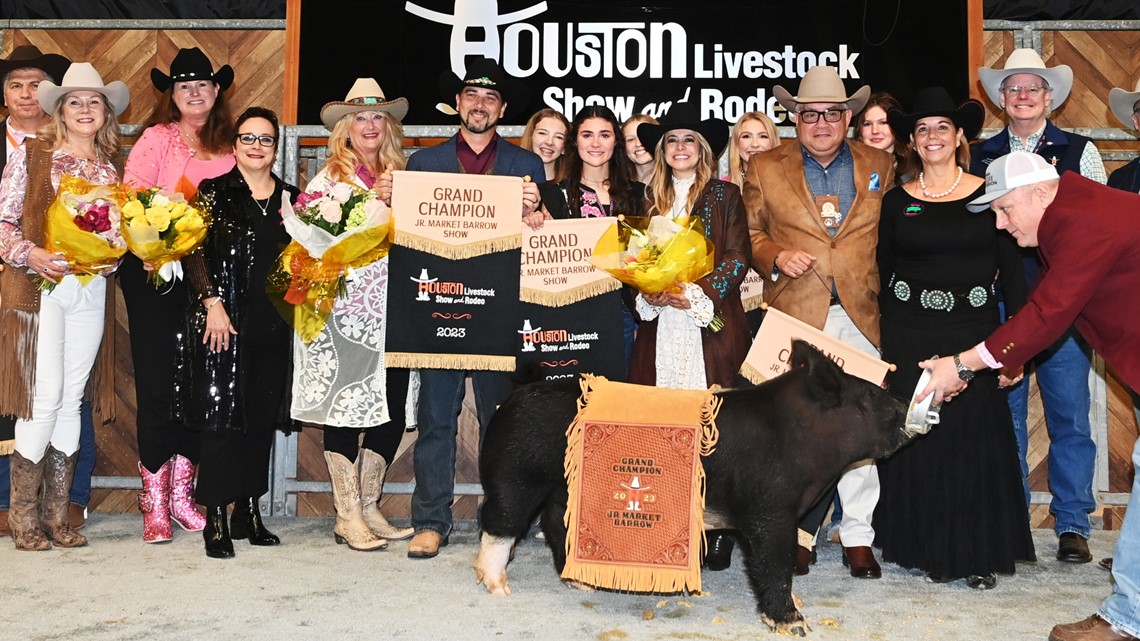 Rekor Rodeo Houston: Grand Champion barrow dijual seharga 5K