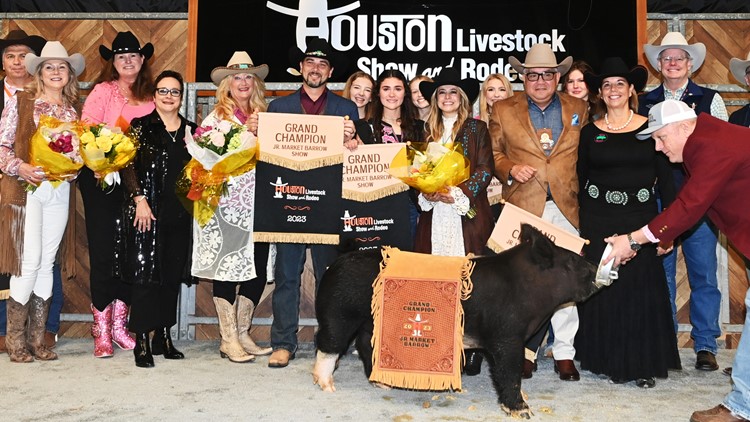 Grand Champion barrow sells for record $375K at Houston Livestock Show and Rodeo