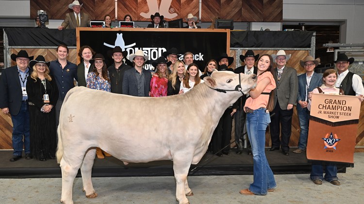 Houston Rodeo grand champion steer sells for record-breaking $1M
