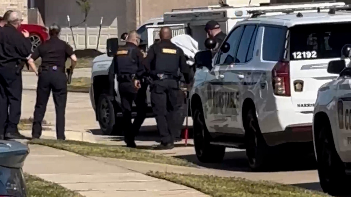 Man killed, woman and small child injured in dog attack at Katy area park, deputies say