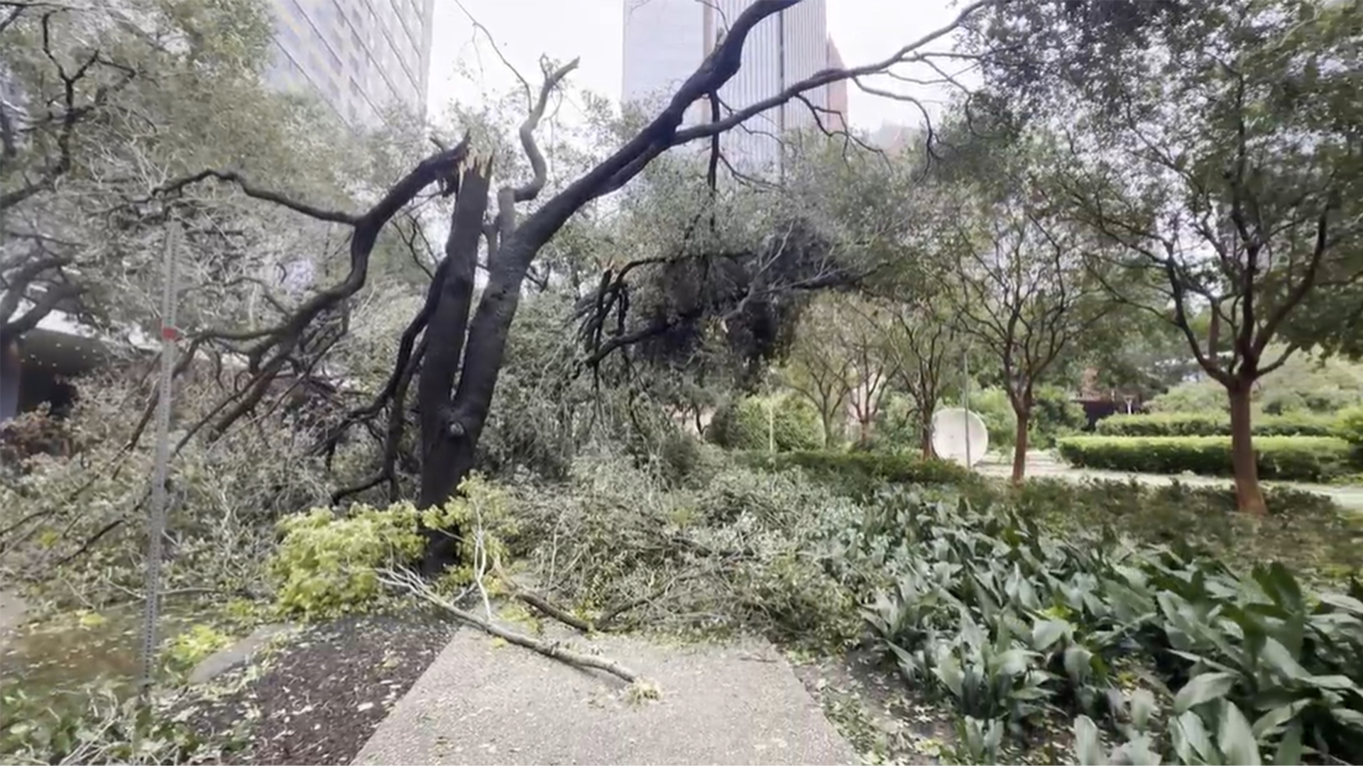 Hurricane Beryl ripped through Southeast Texas on Sunday, July 8, 2024.