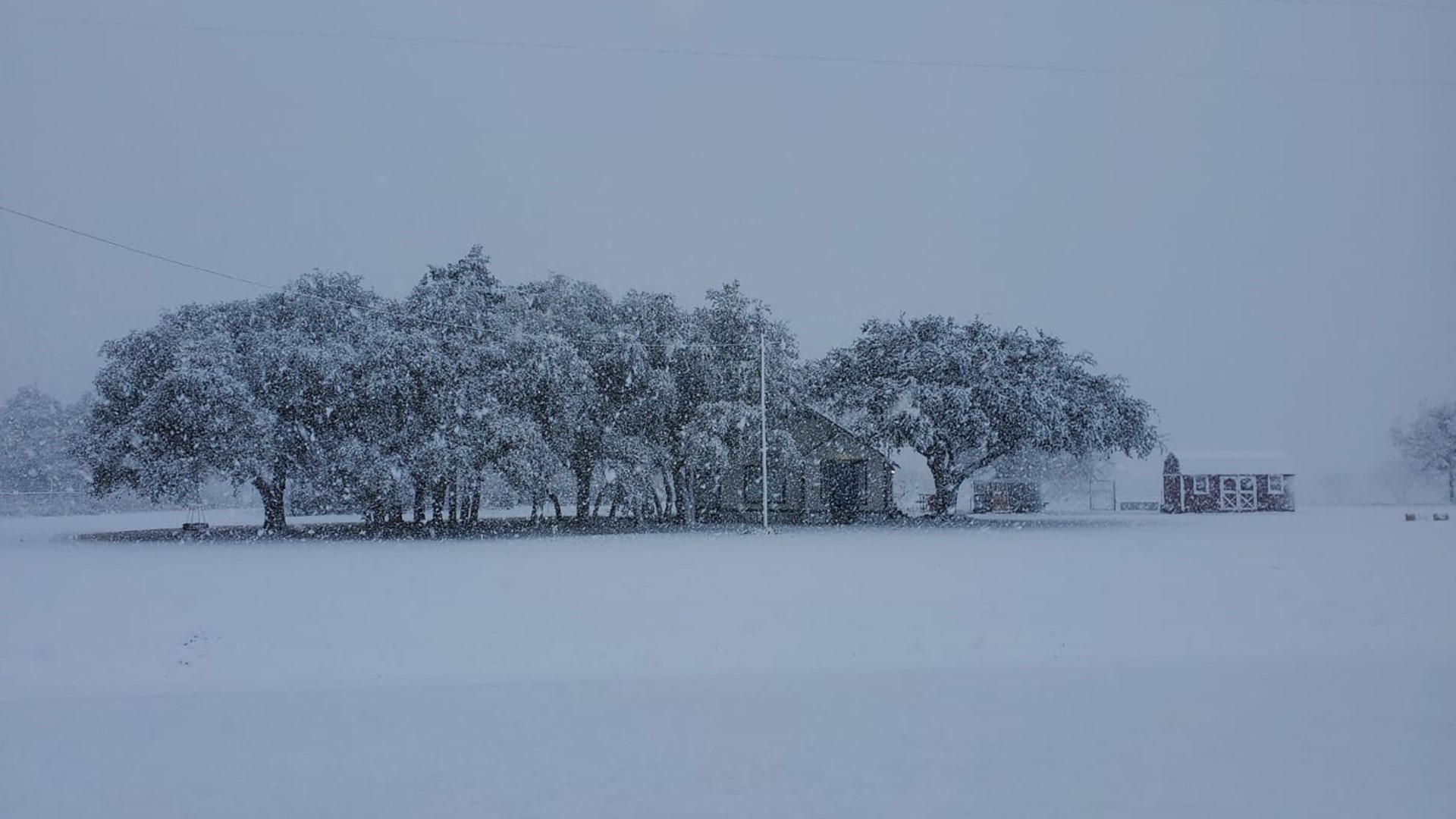 Texas snow photos and video Scenes from winter weather