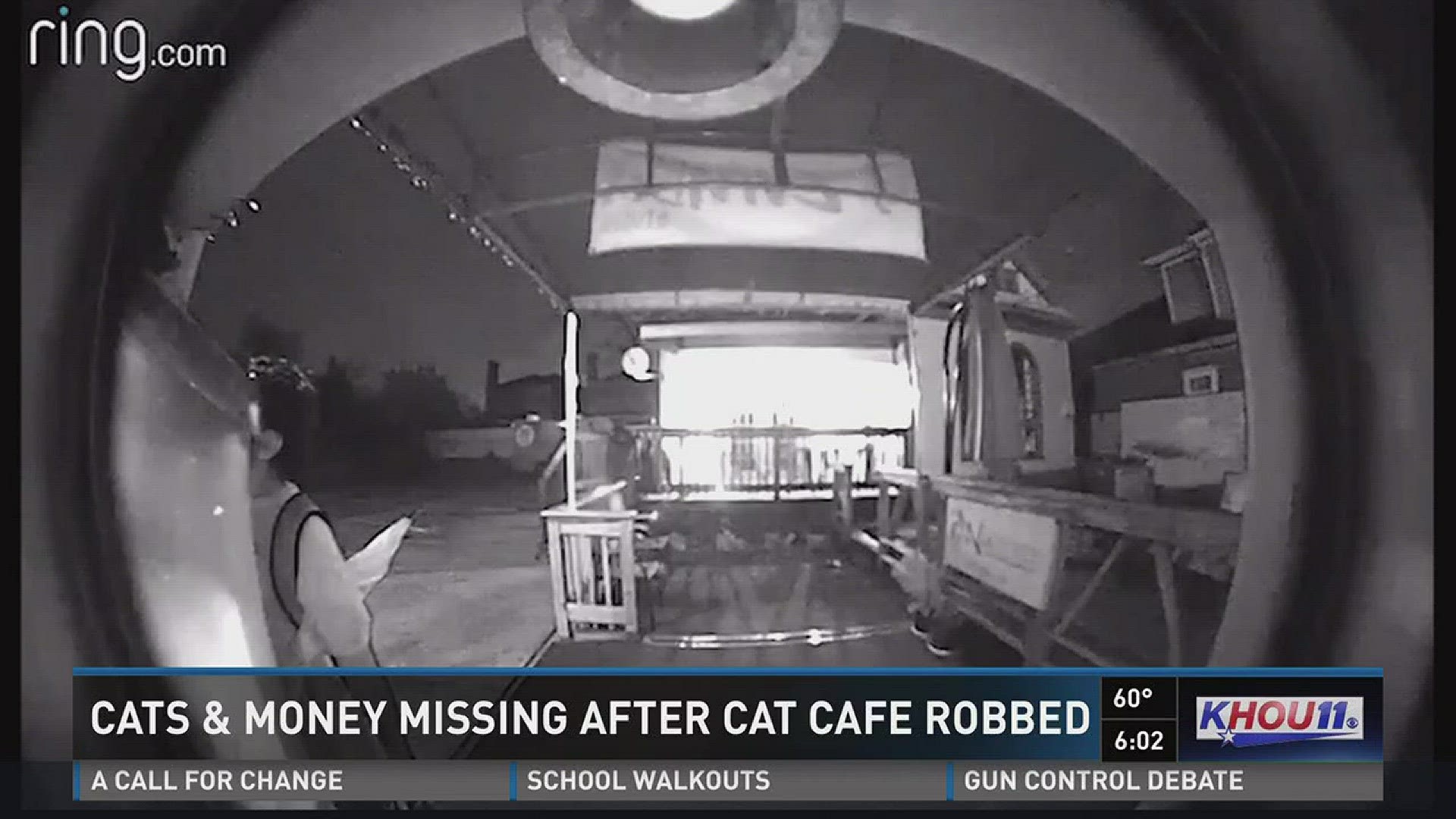 Money and cats went missing from a popular cat caf� in north Houston after it was robbed and ransacked.