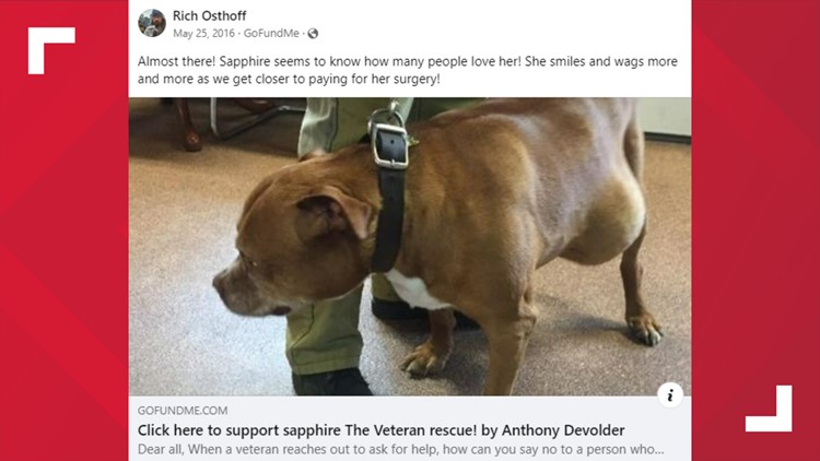 Veteran says Rep. George Santos kept money raised by dying dog's GoFundMe