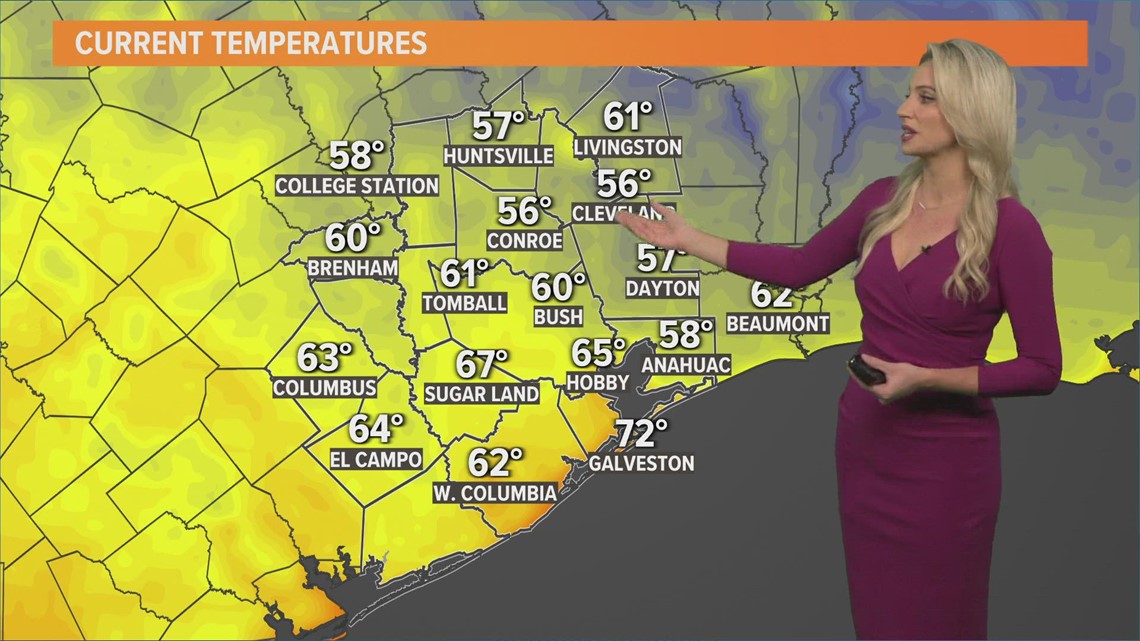 Verify Can you keep backyard chickens in Houston city limits?