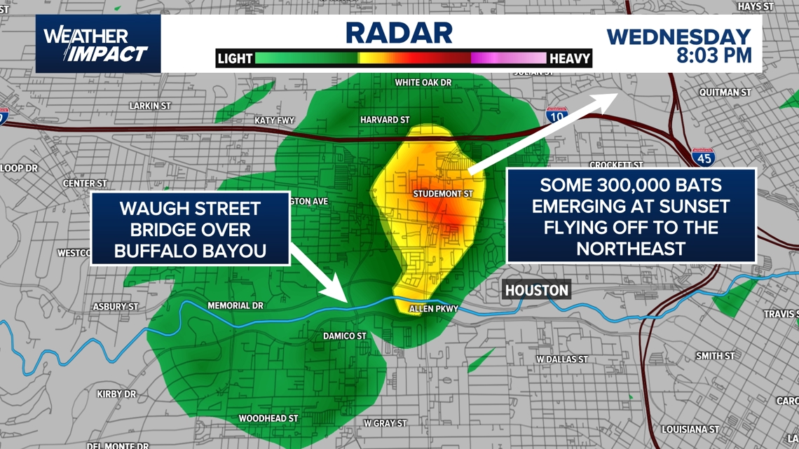 Houston radar captures bat colonies taking flight Wednesday night