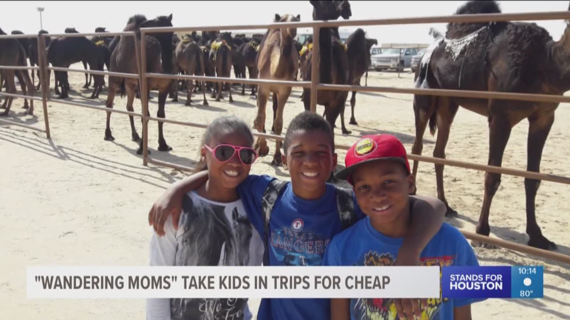 Want to land summer's hottest travel deals?  "Wandering Moms" want to help.