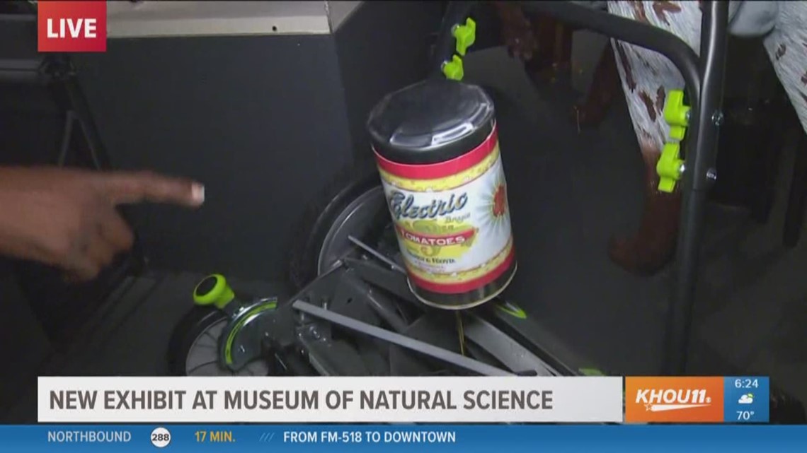 'Death by Natural Causes' exhibit at Museum of Natural Science